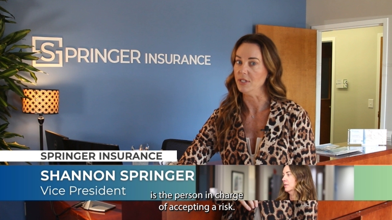 Screen Grab from  Underwriters 